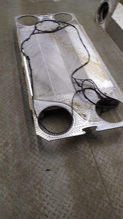 ds