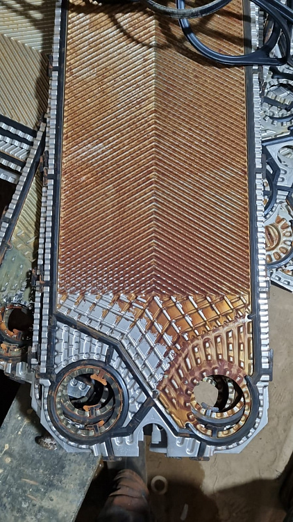 ds